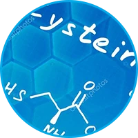 Representación de uno de los ingredientes clave de la fórmula Semaxin.